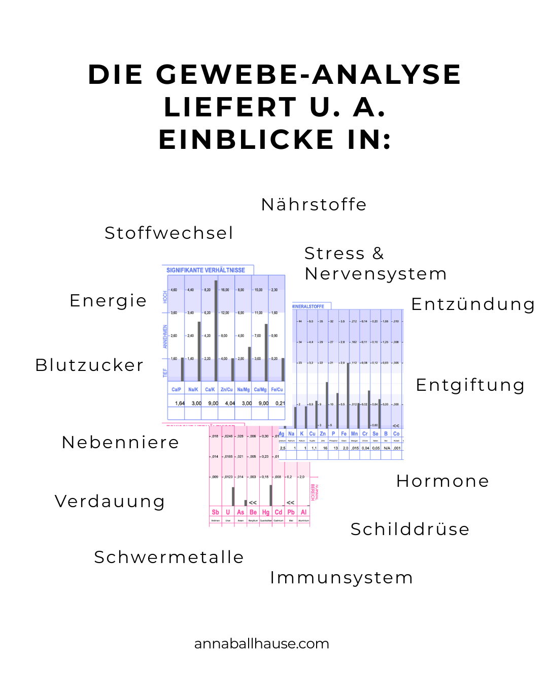 GESUNDHEITS-CHECK