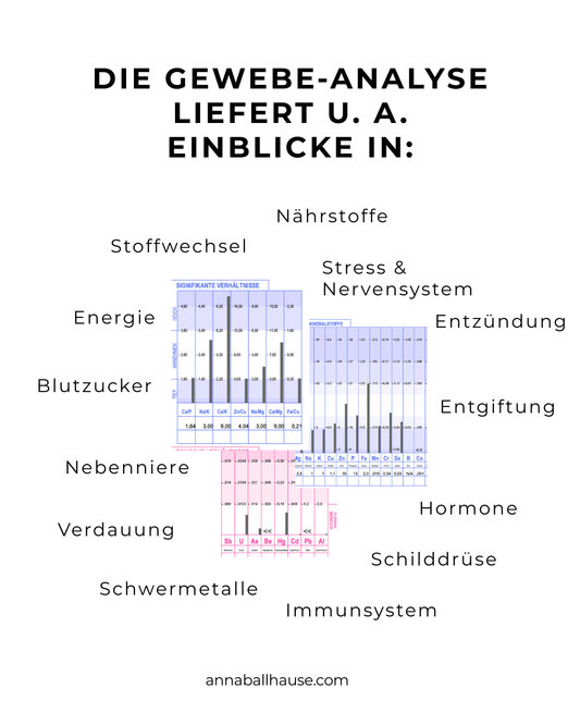 GESUNDHEITS-CHECK