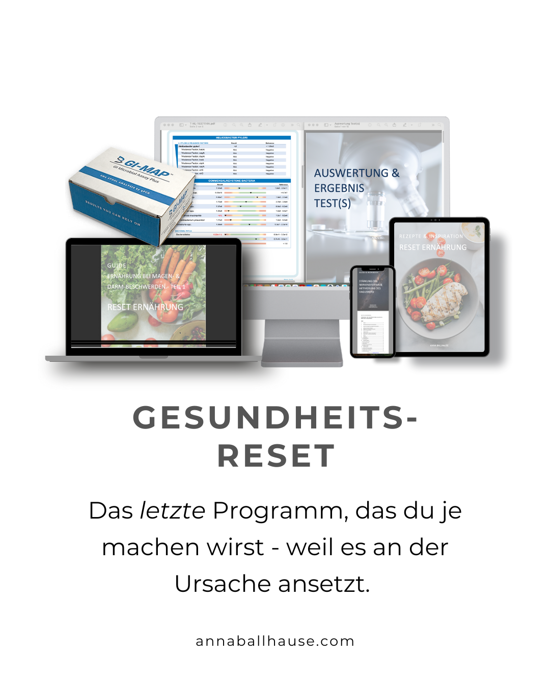 GESUNDHEITS-RESET
